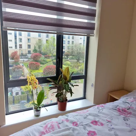 Clearwater Guest house