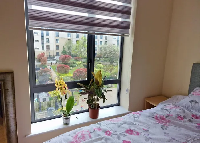 Clearwater Guest house